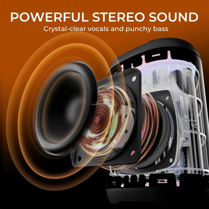 W-KING D110 RGB Wireless Bluet - огляд і ціна Bluetooth Speaker Waterproof